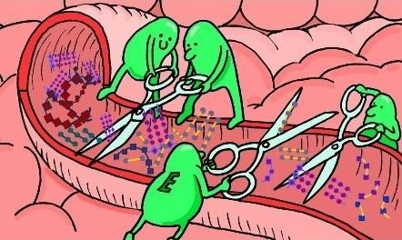 Figure 2. Enzymes helping to digest food in the mouth. 'E' here stands for enzyme